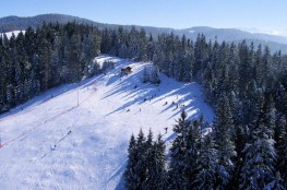 Maciejowa SKI