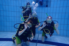 Chorzów Atrakcja Nurkowanie Delfinek Scuba